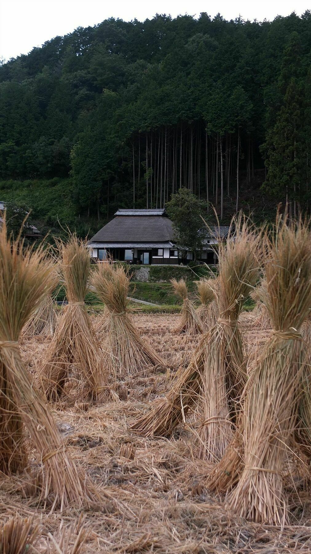Sasayuri-Ann Villa Nara Buitenkant foto